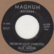 The Day My Heart Stood Still 