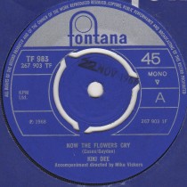 On A Magic Carpet Ride