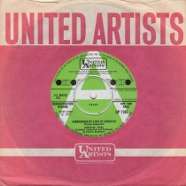 Surrounded By A Ray Of Sunshine