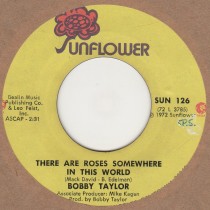 There Are Roses Somewhere In This World