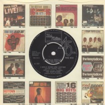 I Could Never Love Another