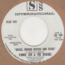 Bricks Broken Bottles And Sticks