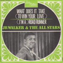 (I'm A) Road Runner
