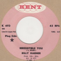 Irresistible You