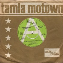 You Are The Sunshine Of My Life