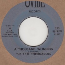 A Thousand wonders