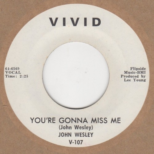 Youre Gonna Miss Me / Girl With The Red Dress On