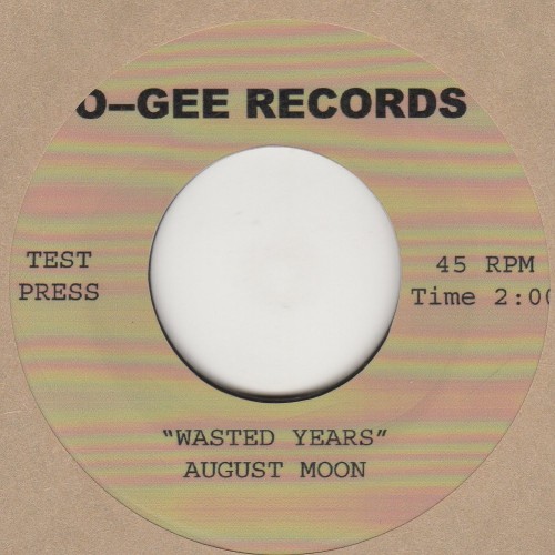 Wasted Years