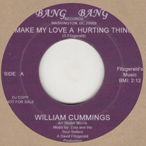 Make My Love A Hurting Thing