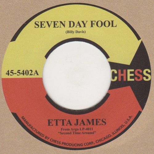 Seven day Fool 