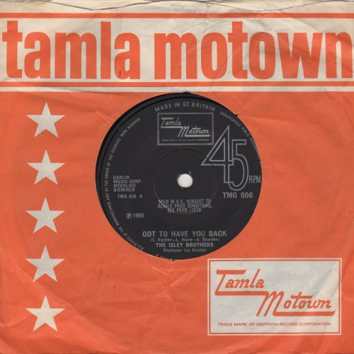 Got To Have You Back