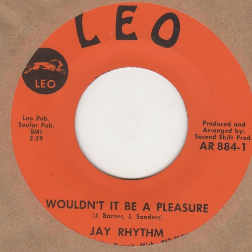 Wouldn't It Be A Pleasure