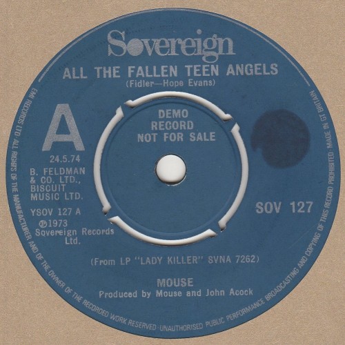 All The Fallen Teen Angels