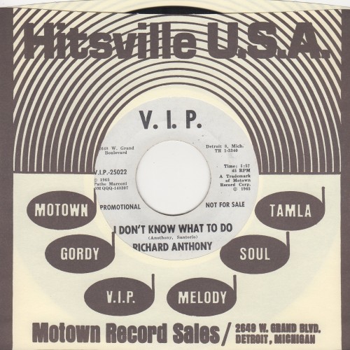 I Dont Know What To Do