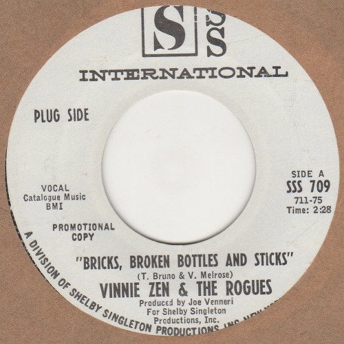 Bricks Broken Bottles And Sticks