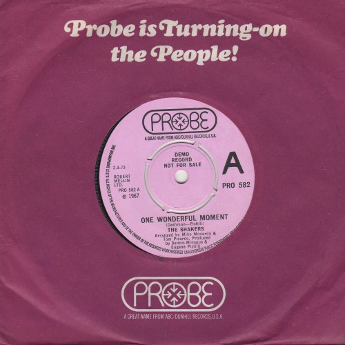 One Wonderful Moment