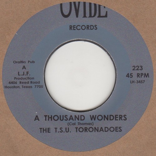 A Thousand wonders